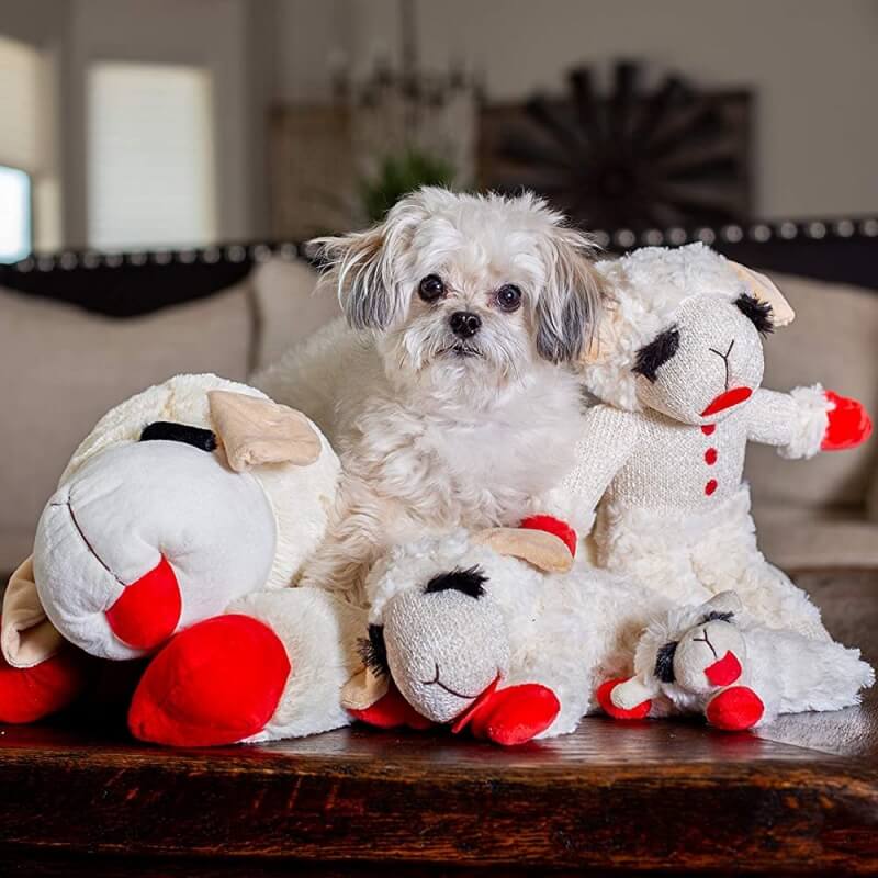 Plush Lamb Squeaker Toy Dog Interactive Toy-Limited Quantity - Image 3