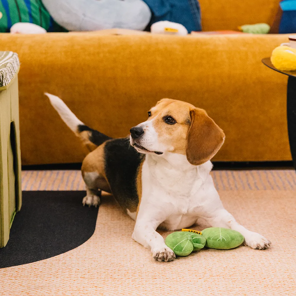 Plush Leaf-Shaped Squeaky Dog Toy - Funnyfuzzy SnugNest - Image 6