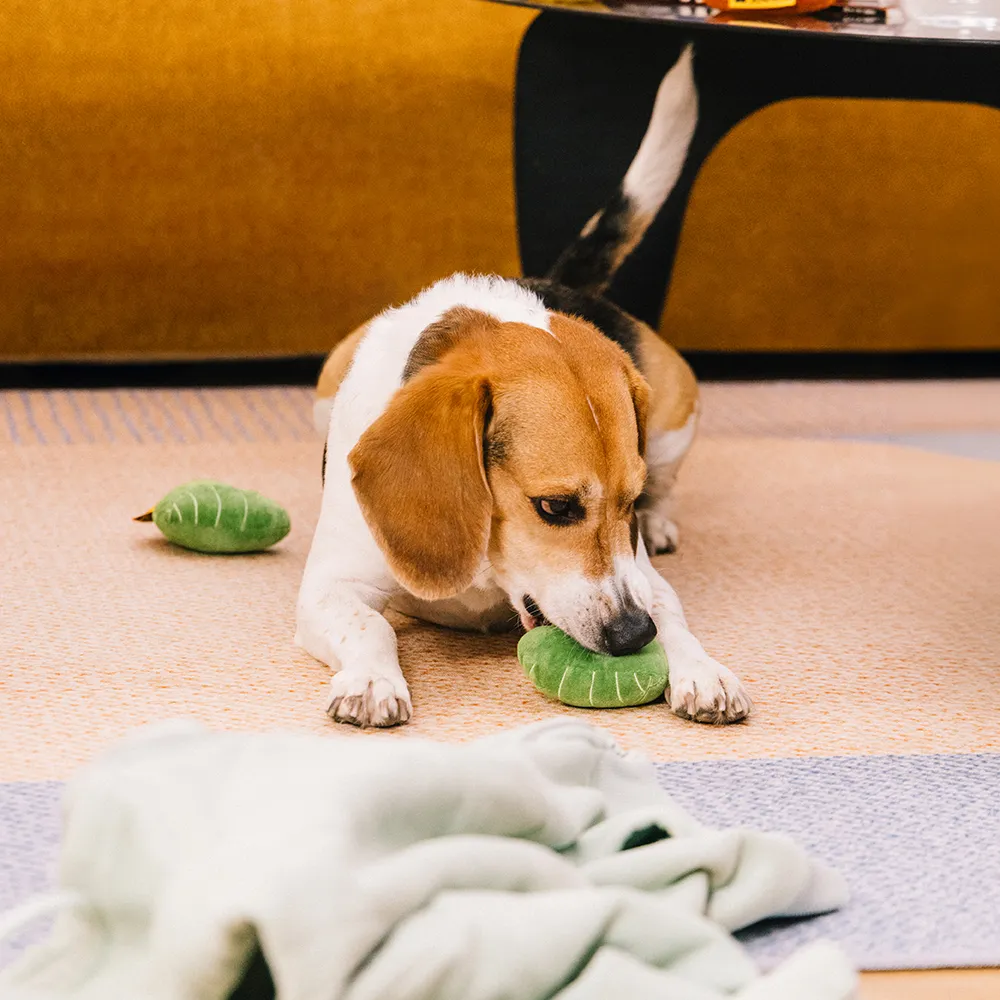 Plush Leaf-Shaped Squeaky Dog Toy - Funnyfuzzy SnugNest - Image 7