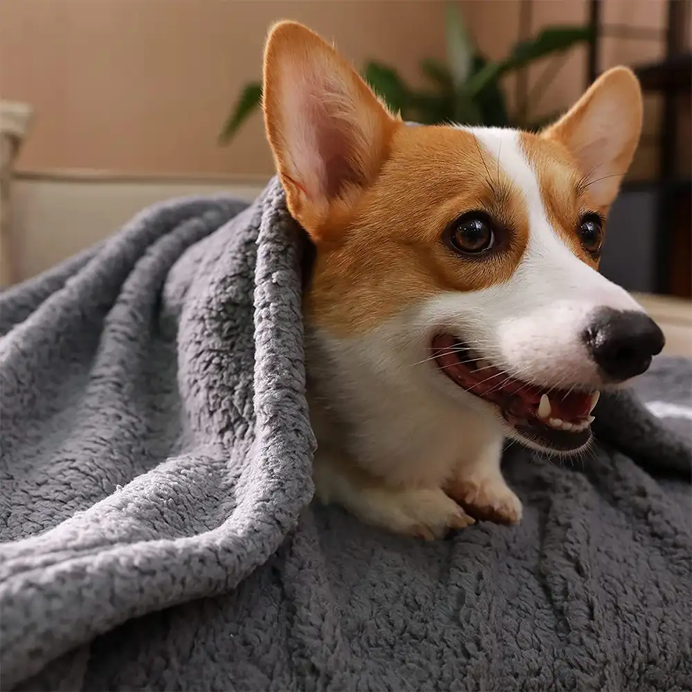 Polar Fleece Comfortable Warm Multifunctional Pet Blanket - Image 16