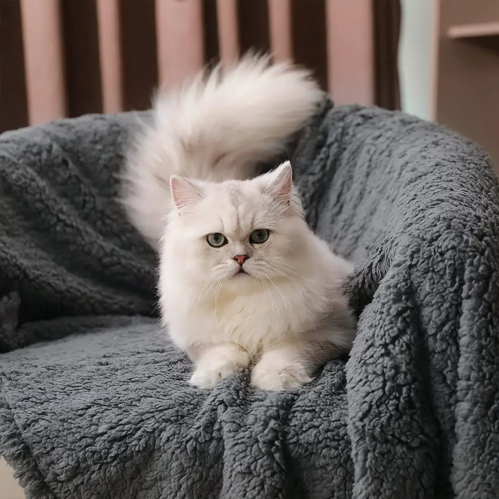 Polar Fleece Comfortable Warm Multifunctional Pet Blanket - Image 3