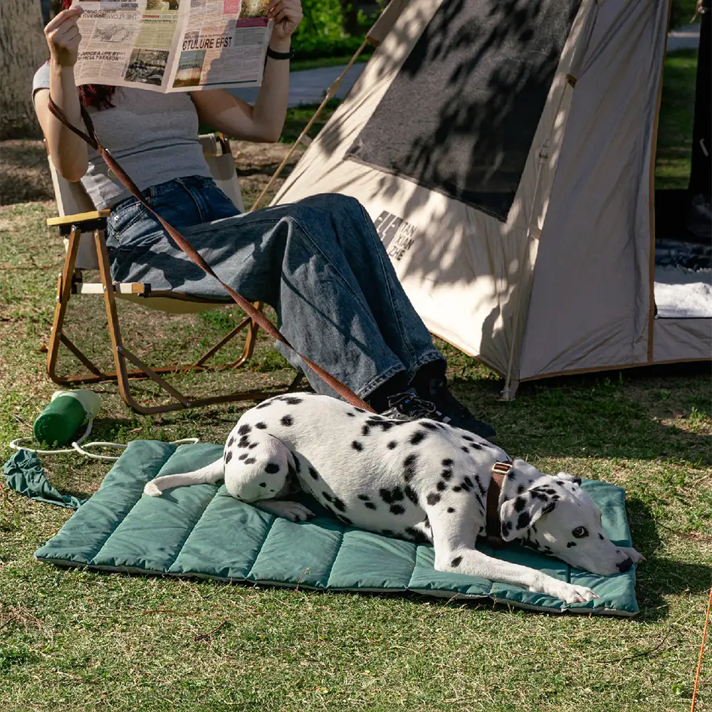 Portable Foldable Double-Sided Water-Repellent Dog Mat for Outdoor Travel & Camping - Image 12