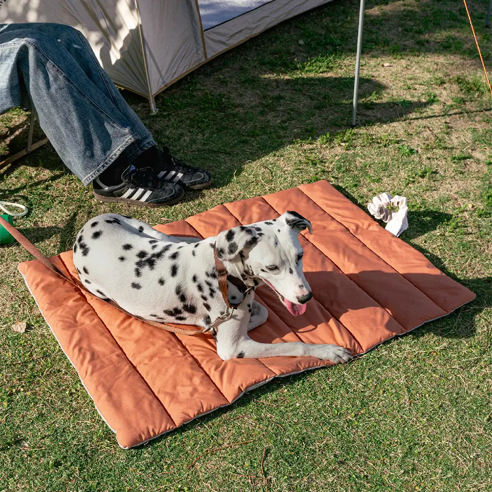 Portable Foldable Double-Sided Water-Repellent Dog Mat for Outdoor Travel & Camping - Image 13