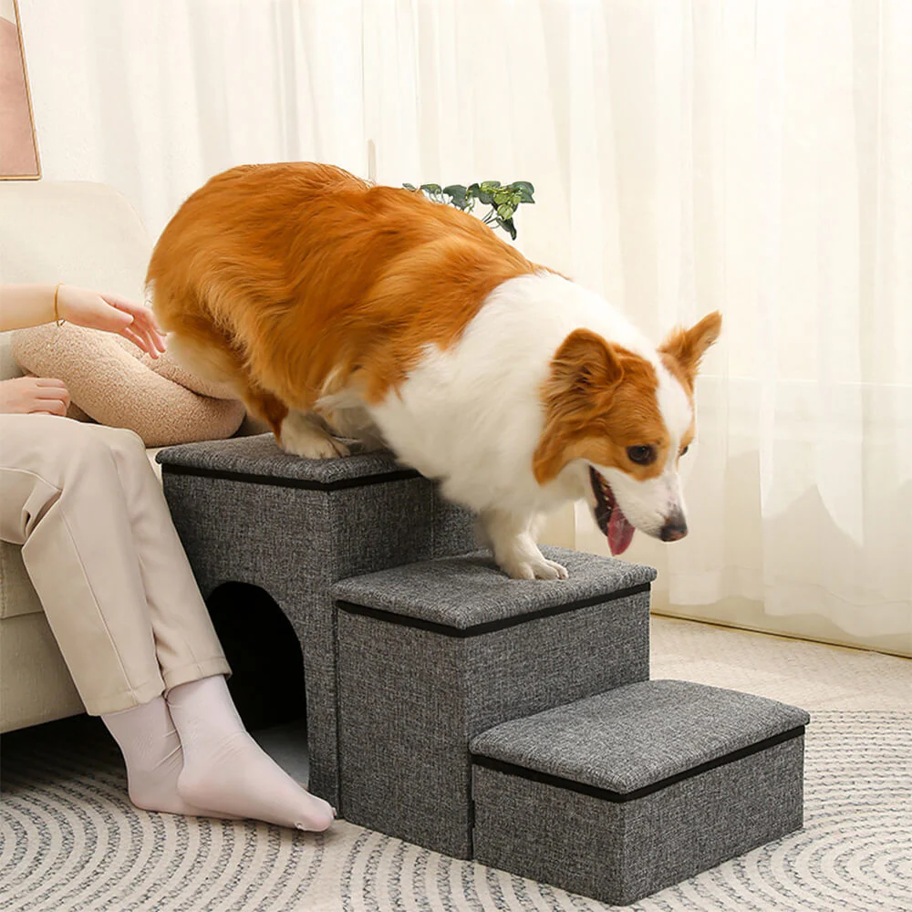 Dog Stairs New In