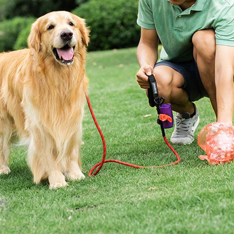 Portable Oxford Fabric Dog Walking Bag Dog Waste Bag Dispenser-Limited Quantity - Image 11