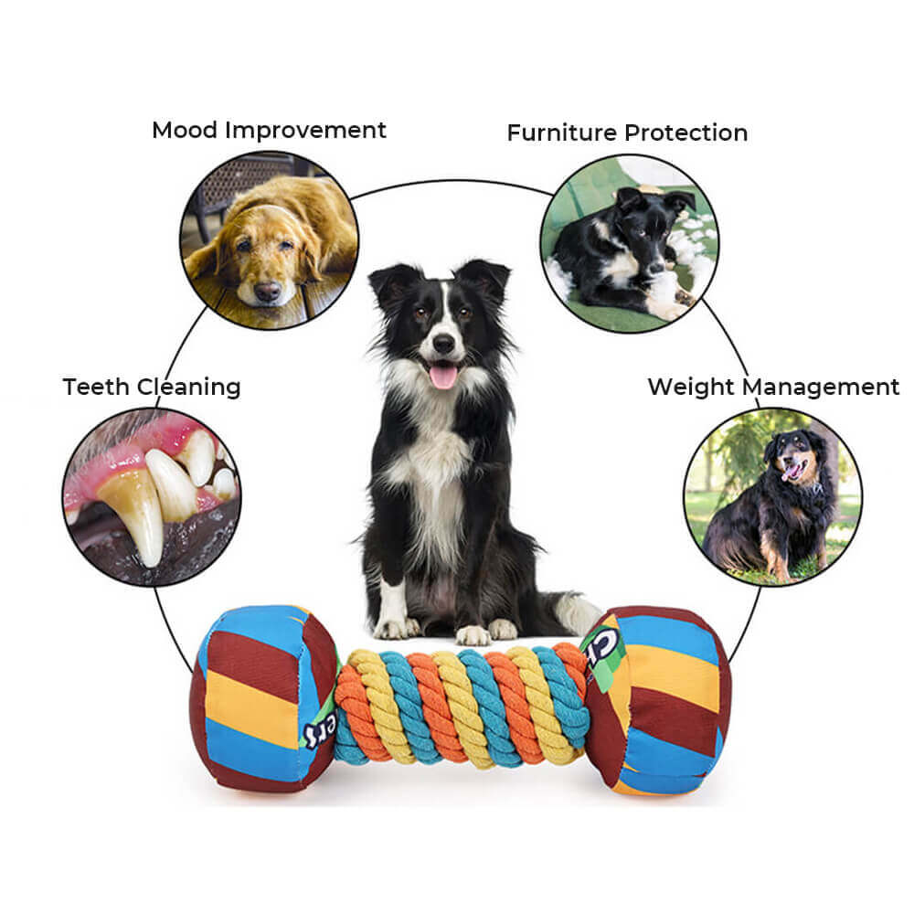 Rainbow Dumbbell Interactive Squeaky Durable Rope Dog Toy - Image 3