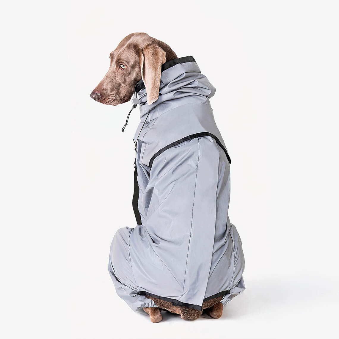 Reflective All-weather Waterproof Cool Dog Accessories Rain Coat - Image 8