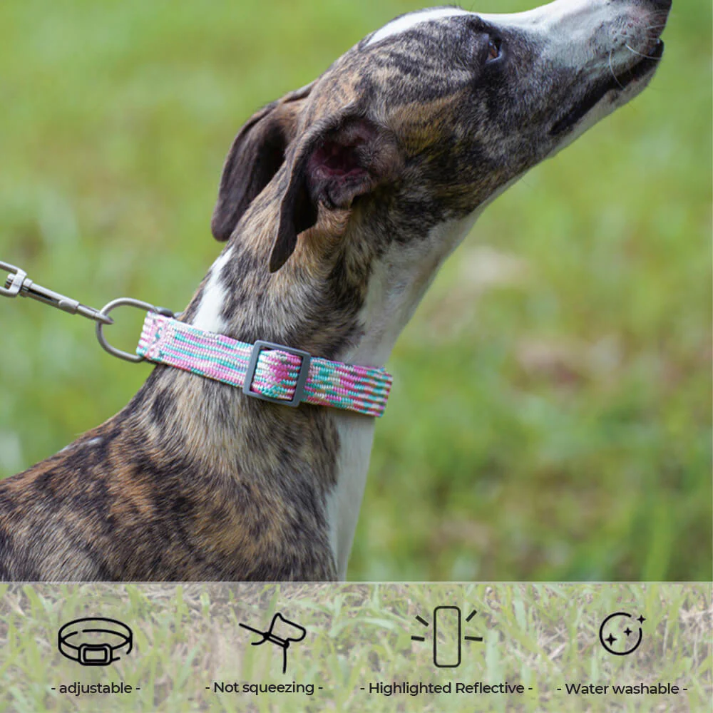 Reflective Weave Adjustable Anti Pull Dog Collar and Lead - Image 4