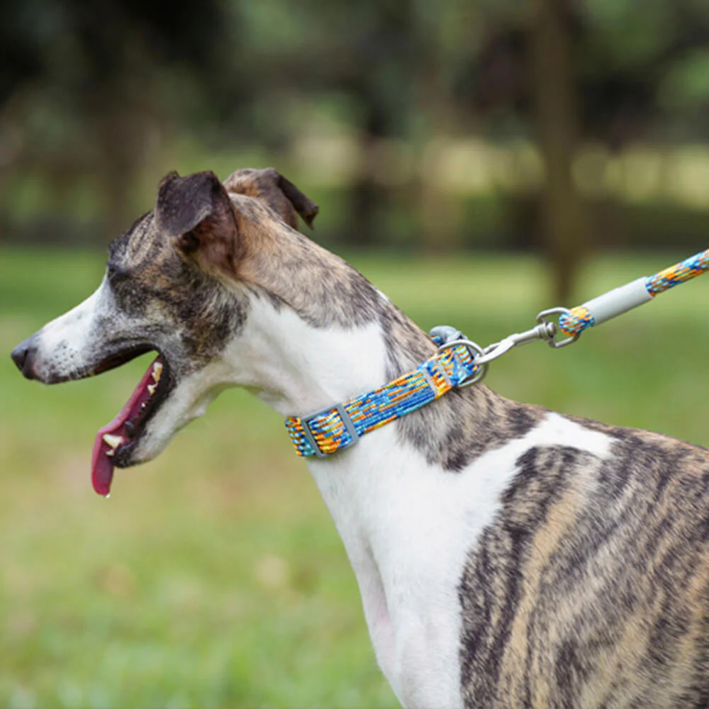 Reflective Weave Adjustable Anti Pull Dog Collar and Lead - Image 7