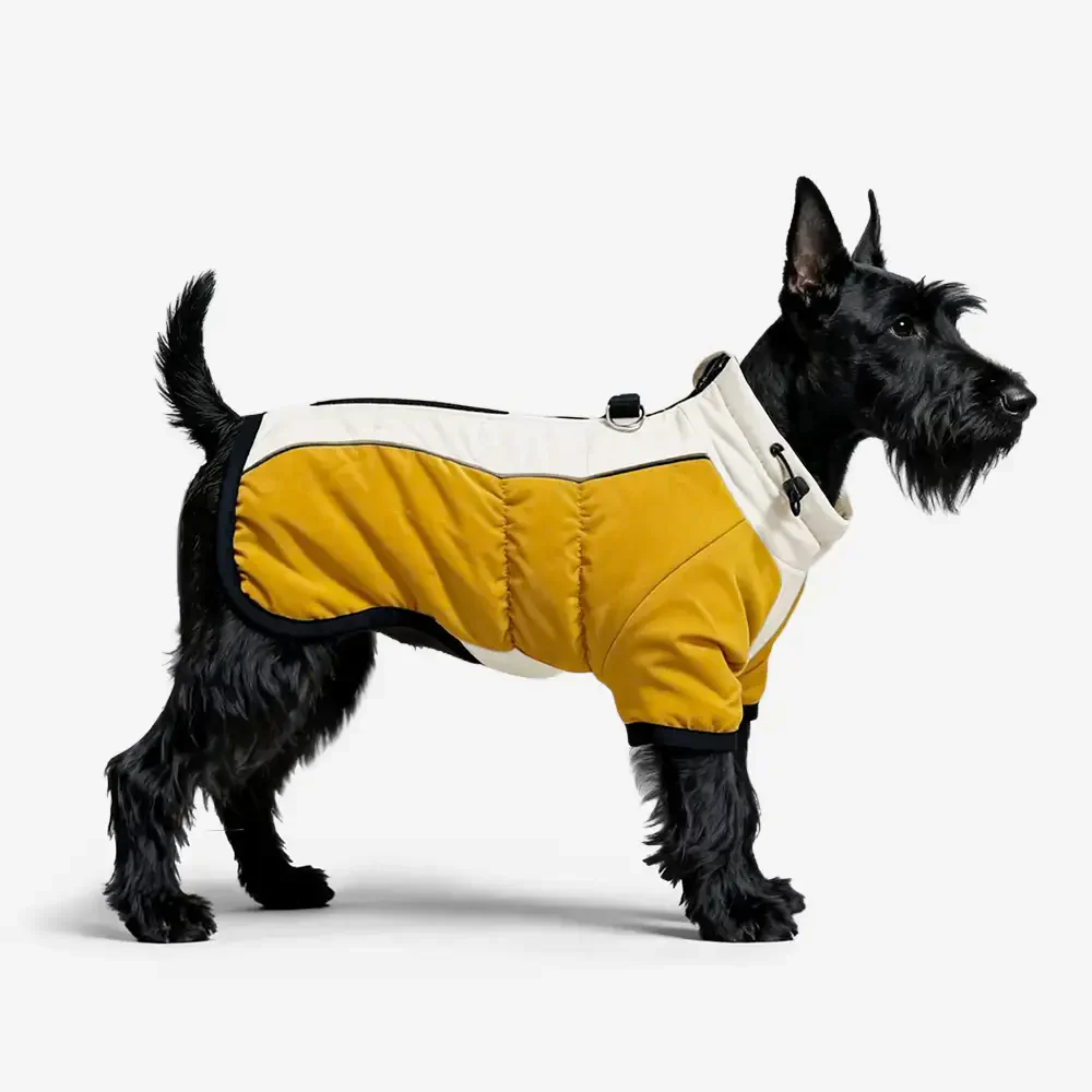 Retro Color-Block Fleece-Lined Warm Dog Coat with Leash Buckle - Image 8