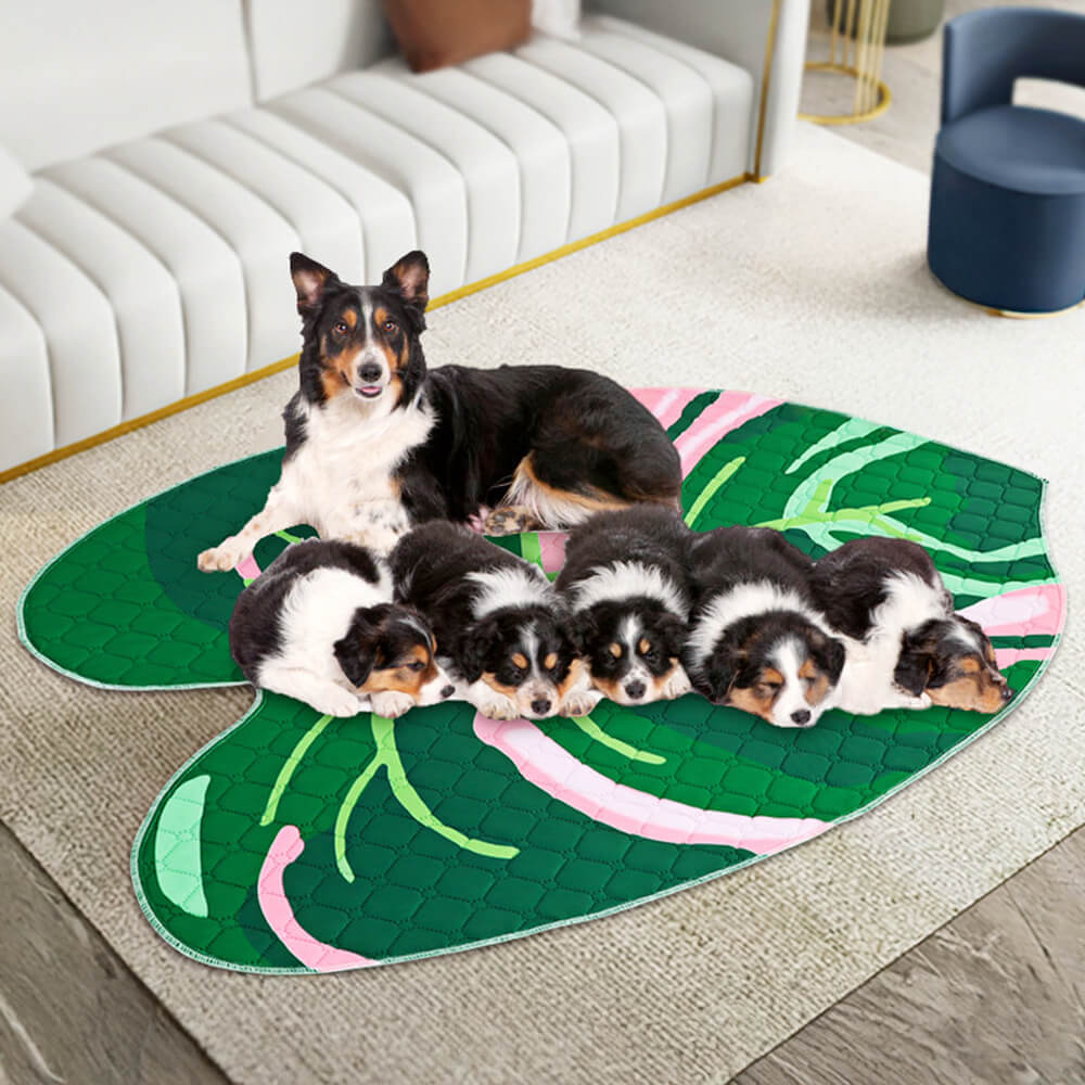 Reusable Absorbent Washable Non-Slip Dog Pee Pad - Image 8