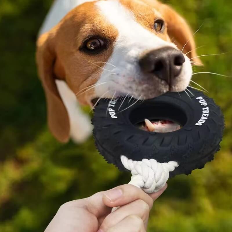 Rubber Tire Dog Interactive Toy Teething and Chewing Toy - Image 2