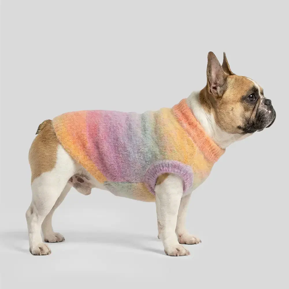 Soft Warm Thick-Knitted Dog Jumper – Designed For Dachshunds, French Bulldogs & Pugs - Image 5