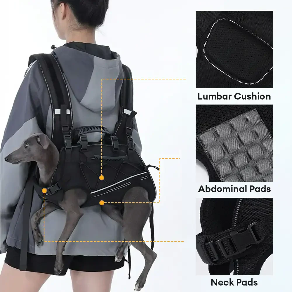 Spine-Friendly Horizontal Dog Backpack Carrier with Adjustable Padded Straps - Legs-Out Comfort - Image 5