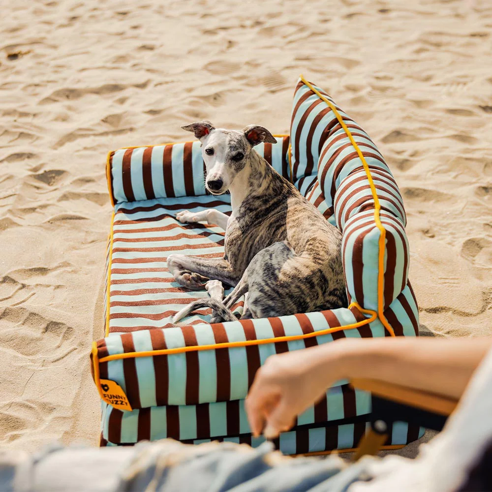 Stripe Waterproof Foldable Large Dog Sofa Bed - Sunny Siesta - Image 22