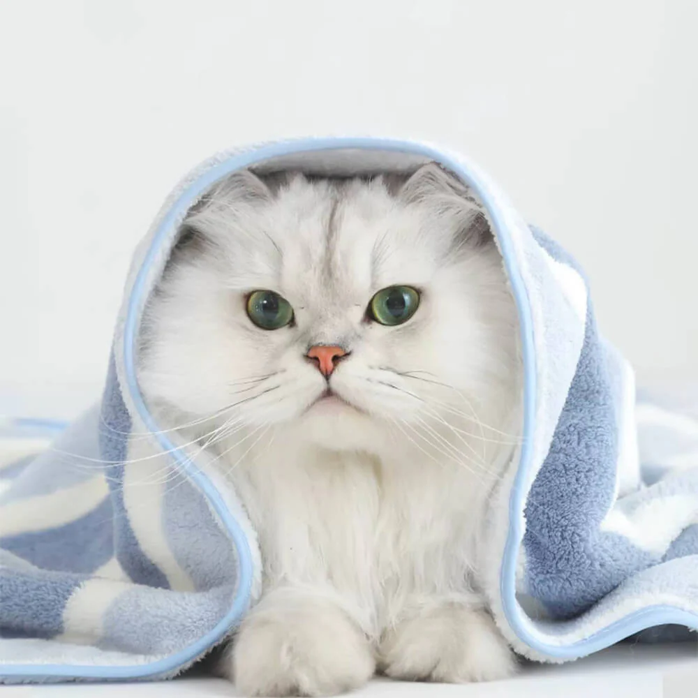 Striped Absorbent Drying Thickened Soft Dog & Cat Bath Towel - Image 5