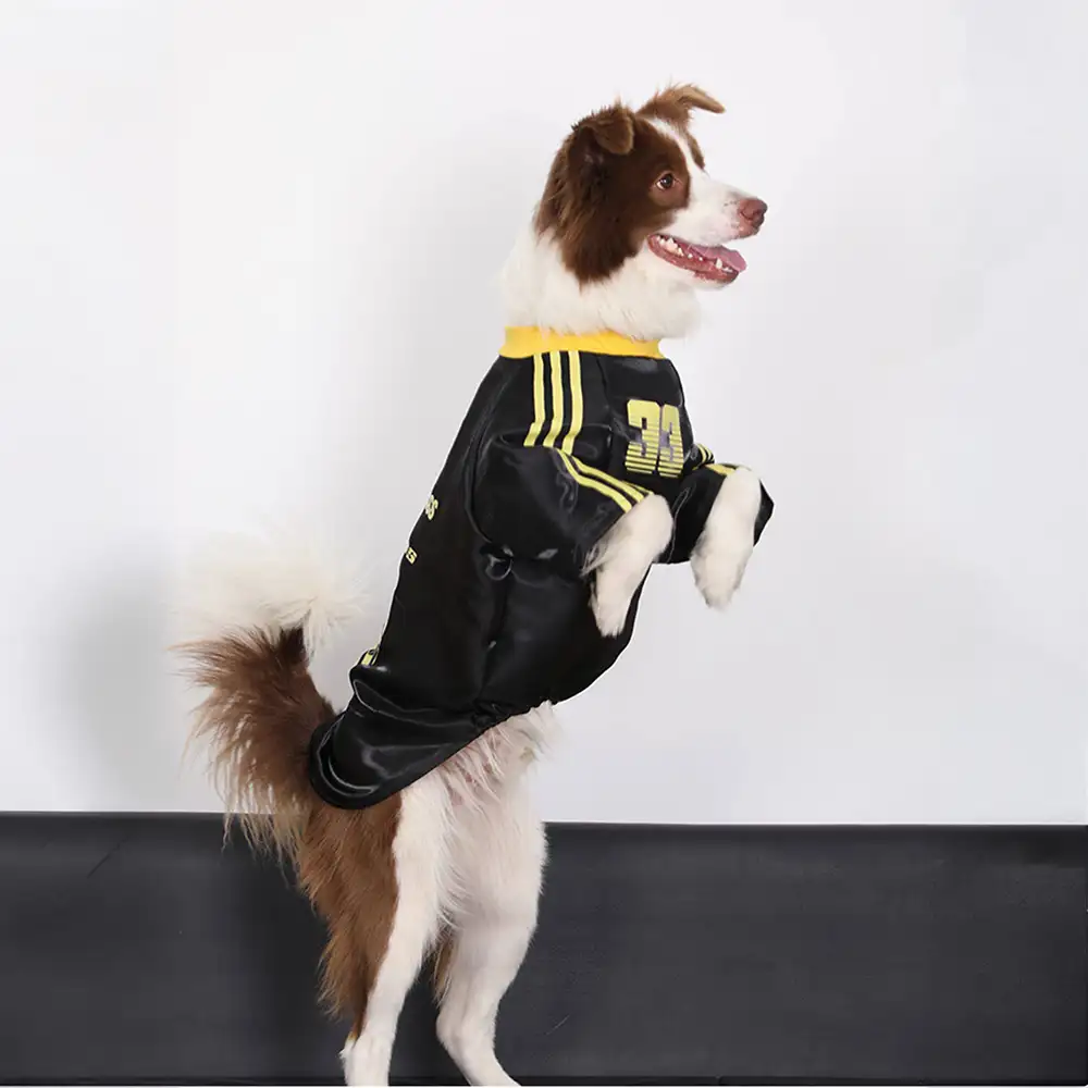 Striped Retro Reflective Dog T-Shirt for All Breeds - Image 8