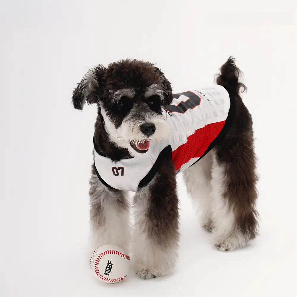 Stylish Color-Blocked Breathable Dog Vest - Image 8
