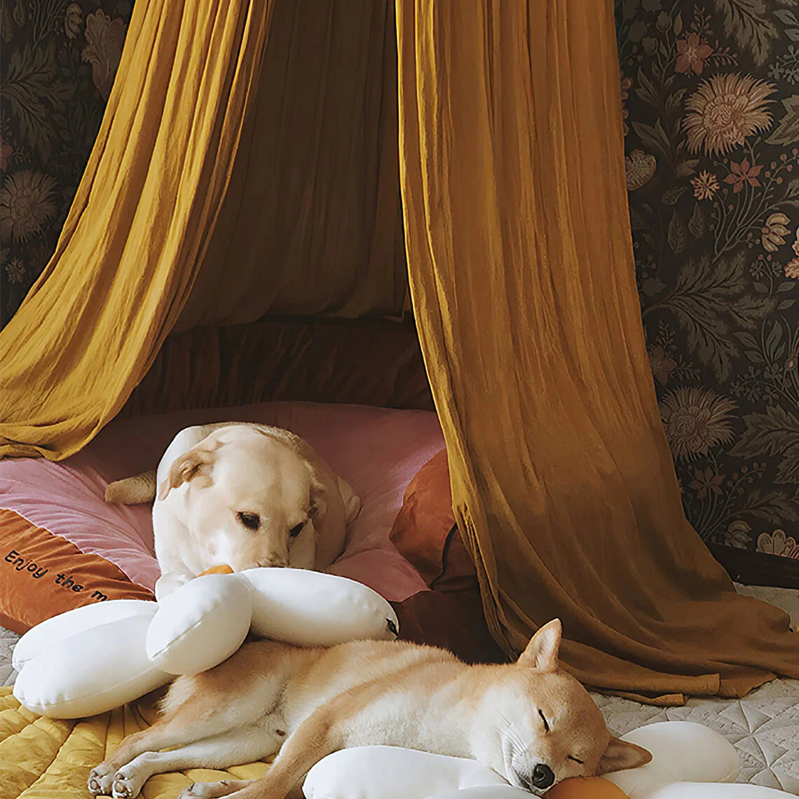 Stylish Soft Cosy Dog Tent  Dog Teepee - Image 2