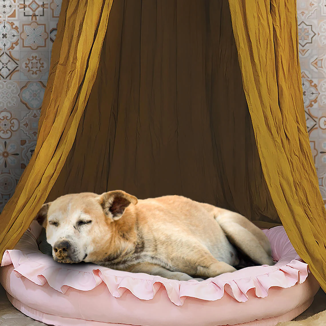 Stylish Soft Cosy Dog Tent  Dog Teepee - Image 7