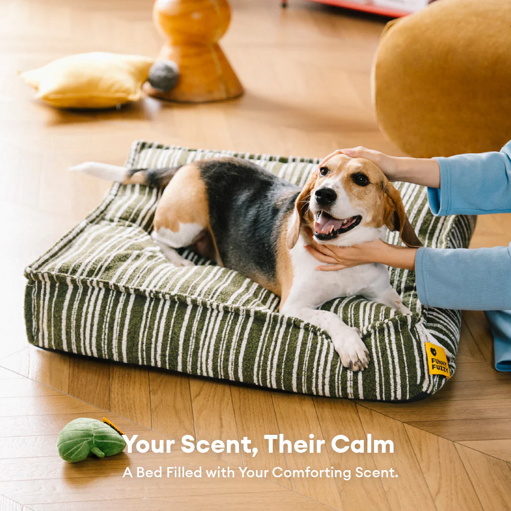 Sustainable Storage Pouf Ottoman & Dog Bed - Funnyfuzzy SnugNest - Image 4