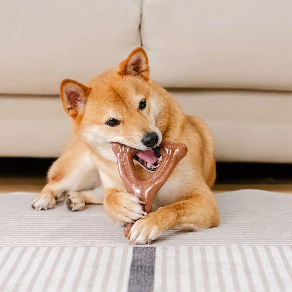 Teething Bones Dog Chew Toy - Bacon-Flavoured - Image 2