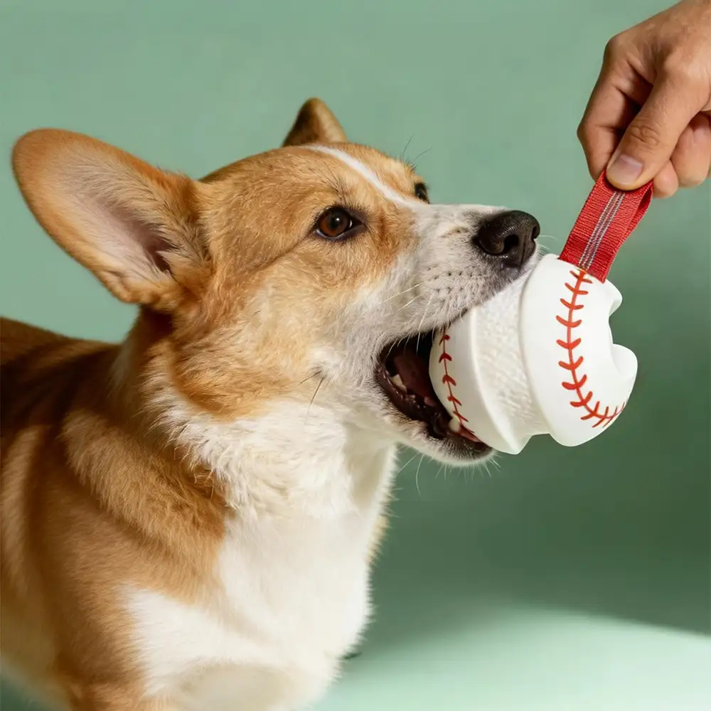 Teething & Play Elastic Interactive Dog Chew Toy - Image 2