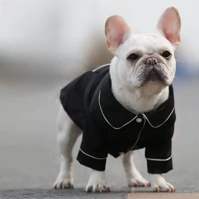 Thin & Comfortable Hair-resistant Matching Pyjamas for Dog and Owner