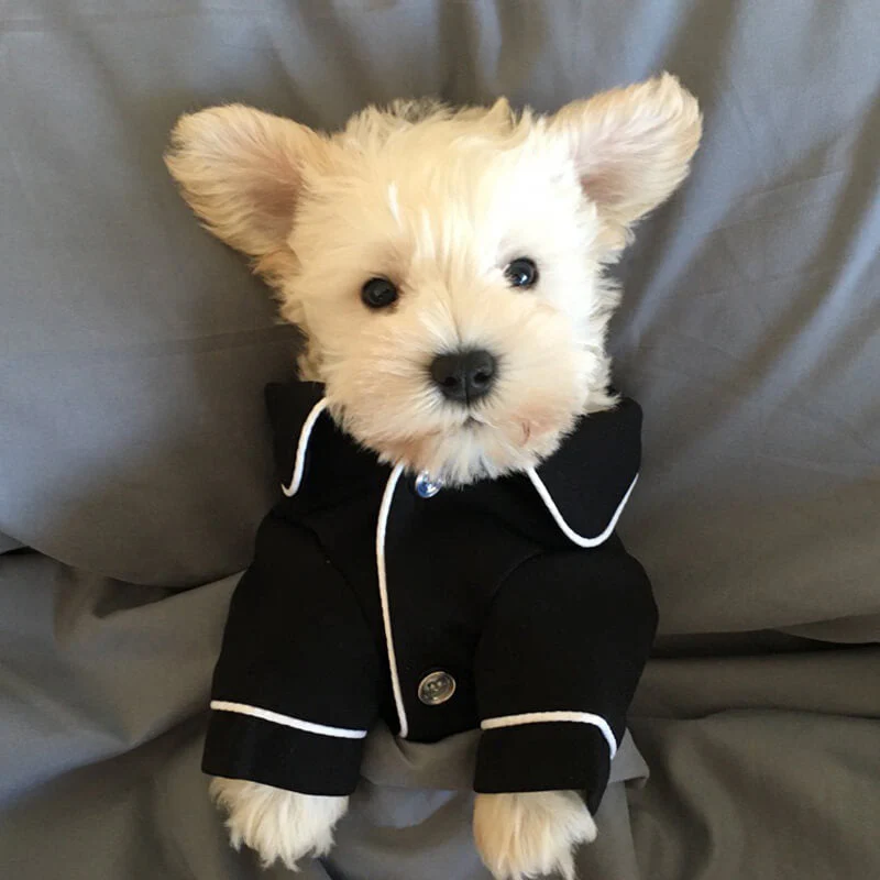 Thin & Comfortable Hair-resistant Matching Pyjamas for Dog and Owner - Image 3