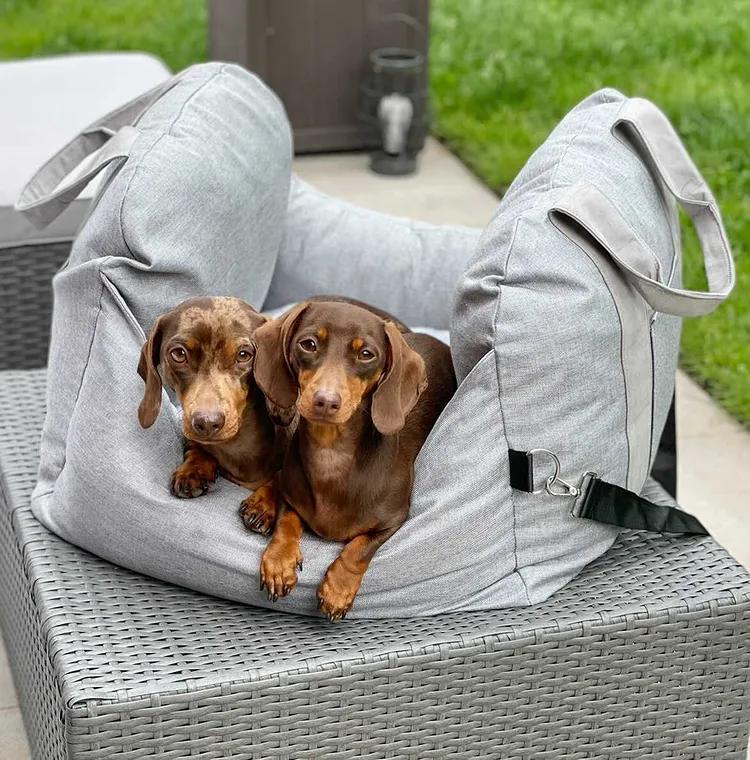Travel Dog Car Seat Bed - Gym Bag - Image 10