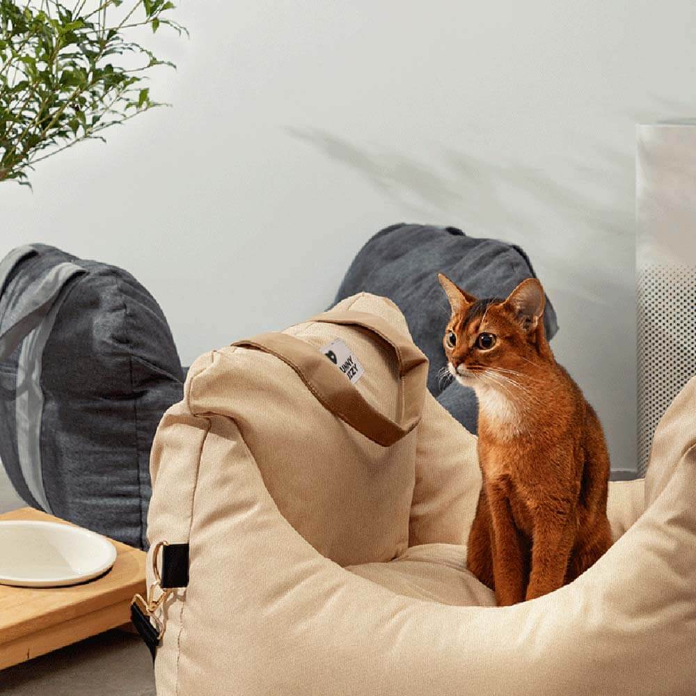 Travel Dog Car Seat Bed - Gym Bag - Image 19