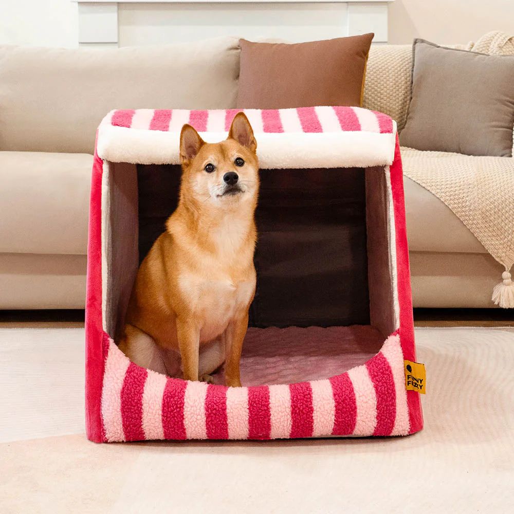 Trendy Striped House Orthopaedic Dog Bed - Cosy Hideaway - Image 2
