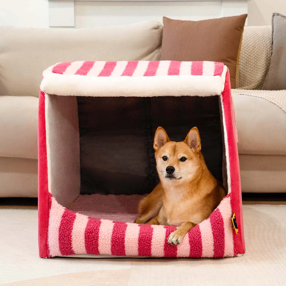 Trendy Striped House Orthopaedic Dog Bed - Cosy Hideaway - Image 3