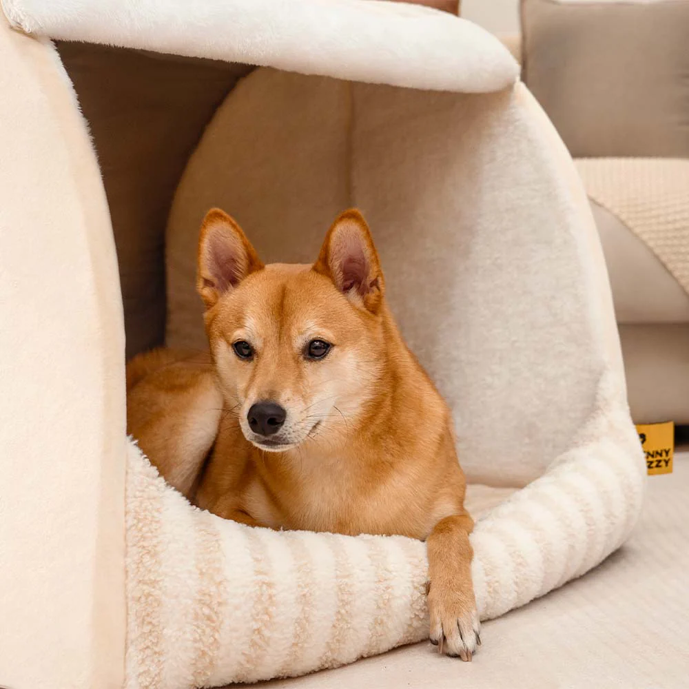 Trendy Striped House Orthopaedic Dog Bed - Cosy Hideaway - Image 8