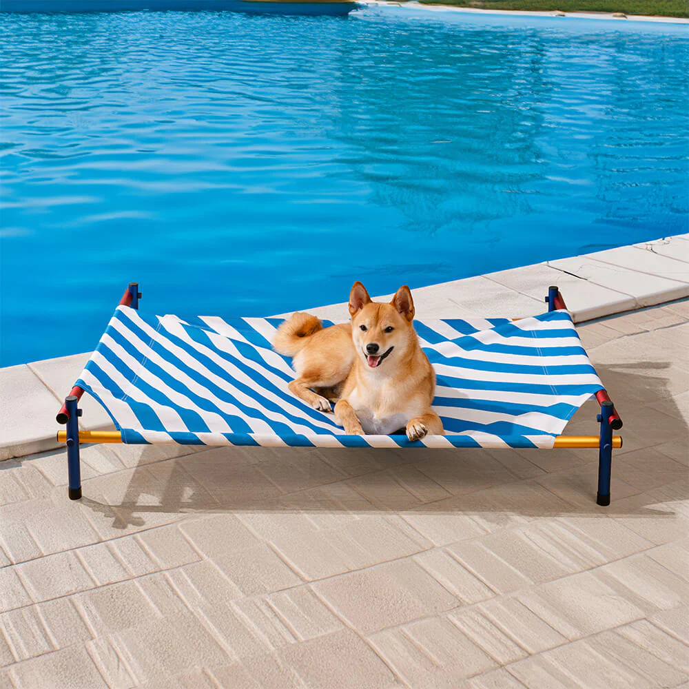 Vibrant Summer Print Style Aluminium Elevated Dog Bed - Summer Paradise - Image 2