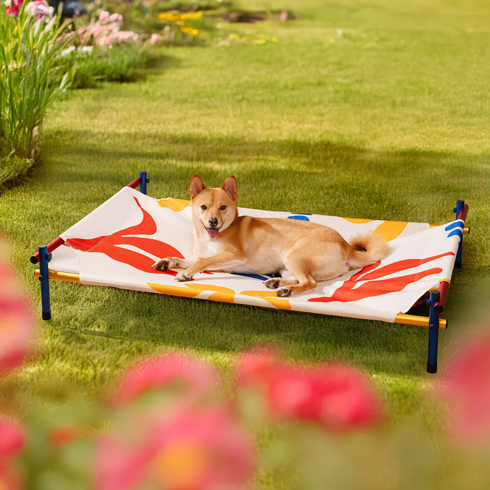 Vibrant Summer Print Style Aluminium Elevated Dog Bed - Summer Paradise - Image 4