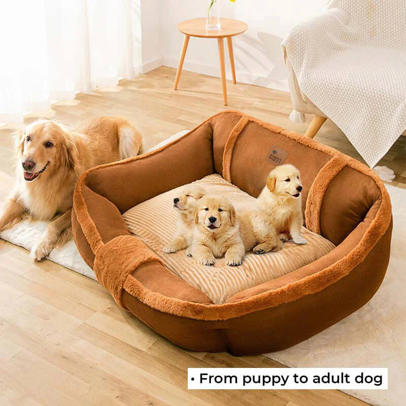 Vintage Warm Dog Sofa Bed - Image 12