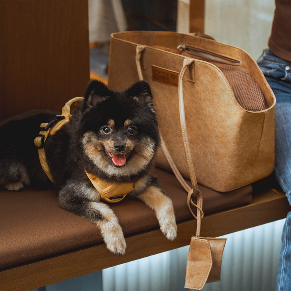 Vogue Eco-friendly Dupont Waterproof Pet Carrier - City Roamer - Image 10