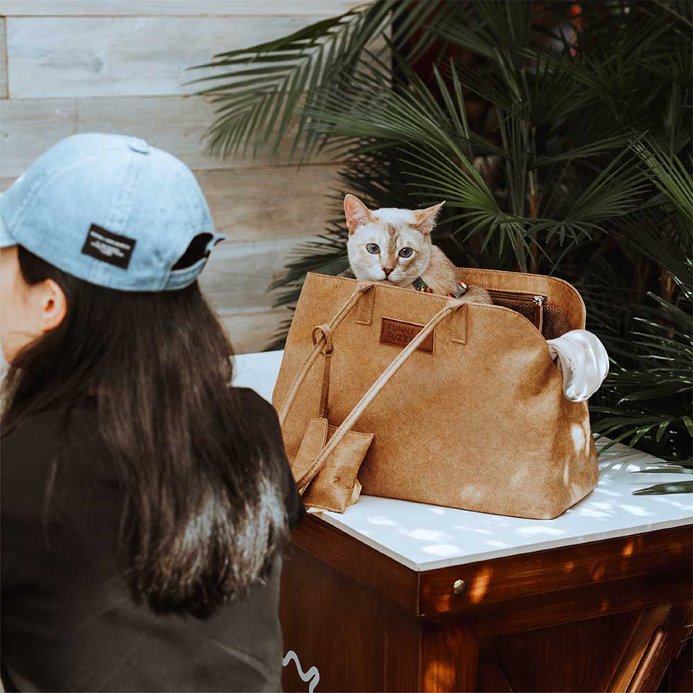 Vogue Eco-friendly Dupont Waterproof Pet Carrier - City Roamer - Image 12