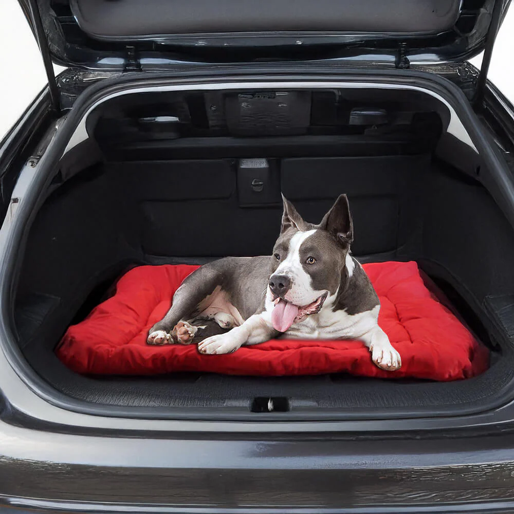 Waterproof Durable Foldable Outdoor Dog Travel Mat - Image 10
