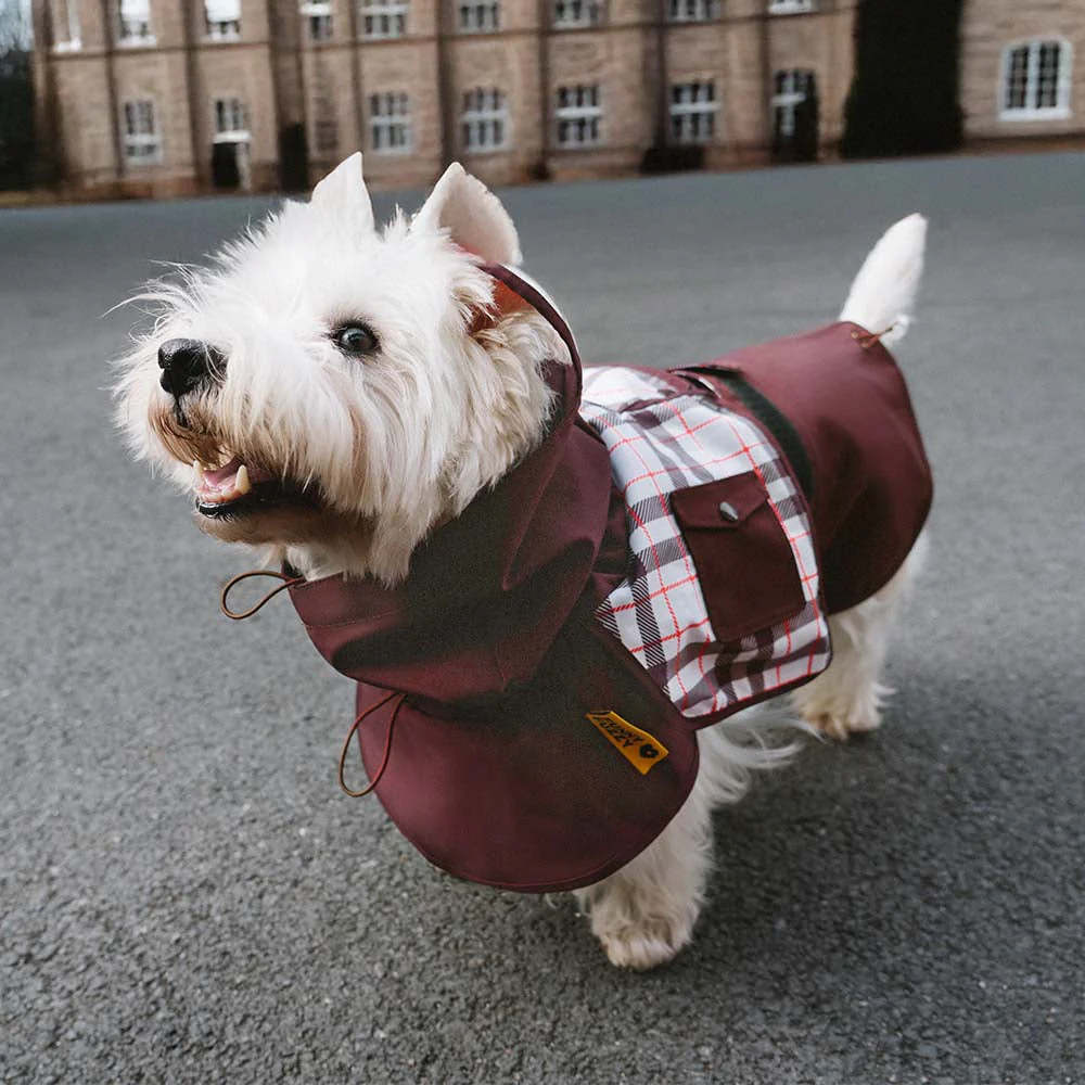 Waterproof Vintage Plaid Adjustable Dog Raincoat - All-Weather Protection - Image 2