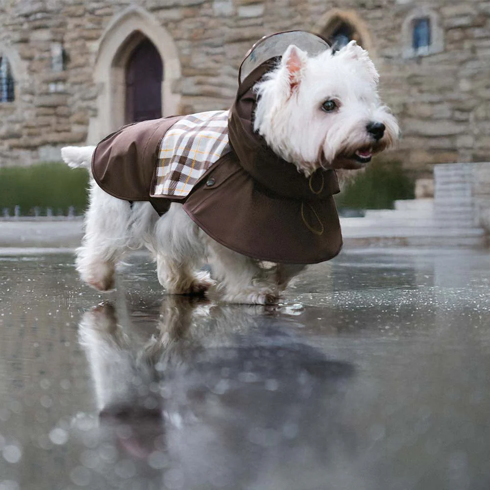 Waterproof Vintage Plaid Adjustable Dog Raincoat - All-Weather Protection - Image 3